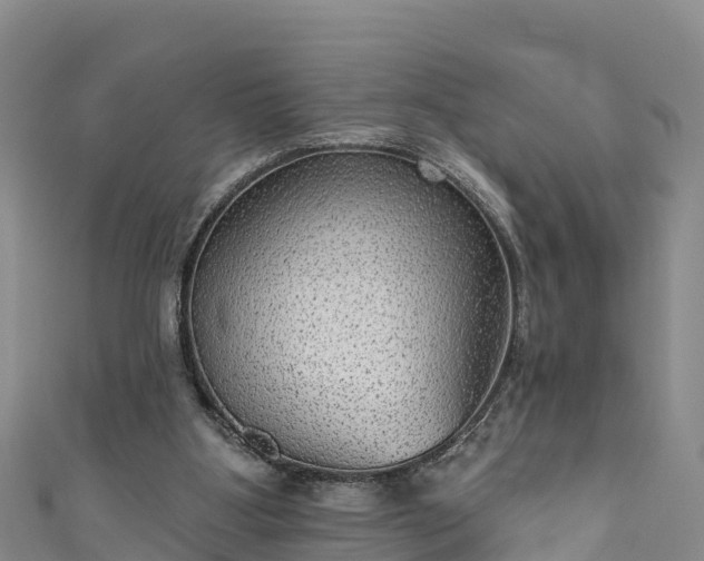 X0000110960107200906261350