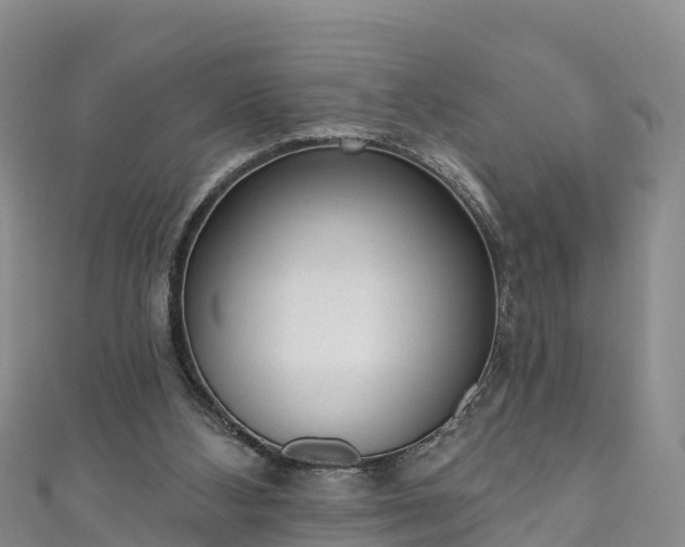 X0000110960108200906261350