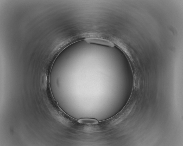 X0000110960109200906261350