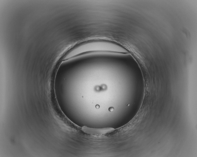 X0000110960112200906261350