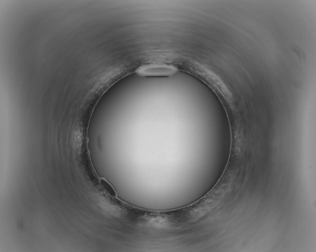 X0000110960113200906261350