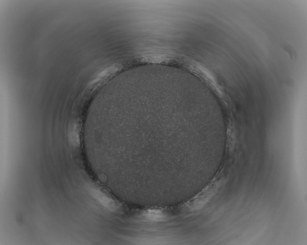 X0000110960114200906261350