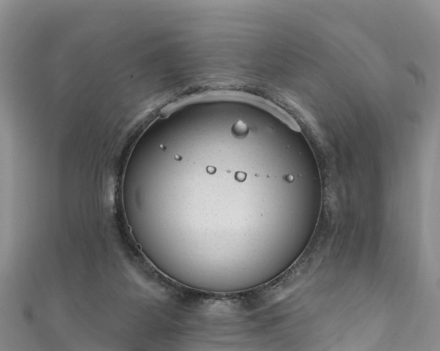 X0000110960115200906261350