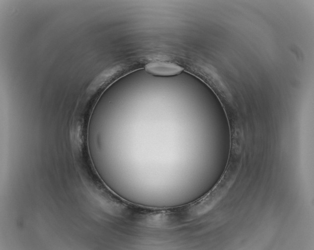 X0000110960116200906261350