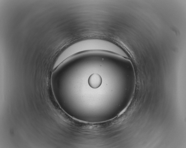 X0000110960117200906261350