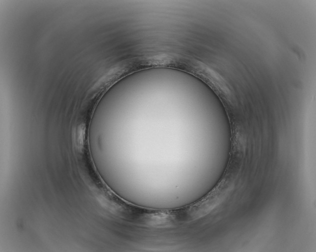 X0000110960118200906261350