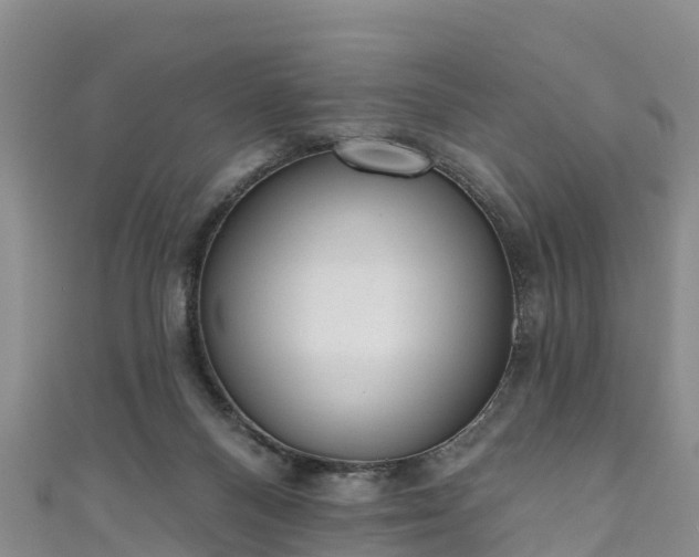 X0000110960120200906261349