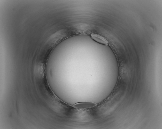 X0000110960121200906261349