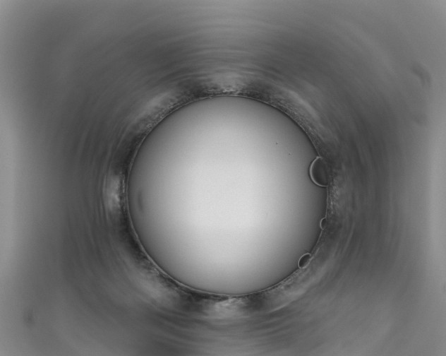 X0000110960122200906261349