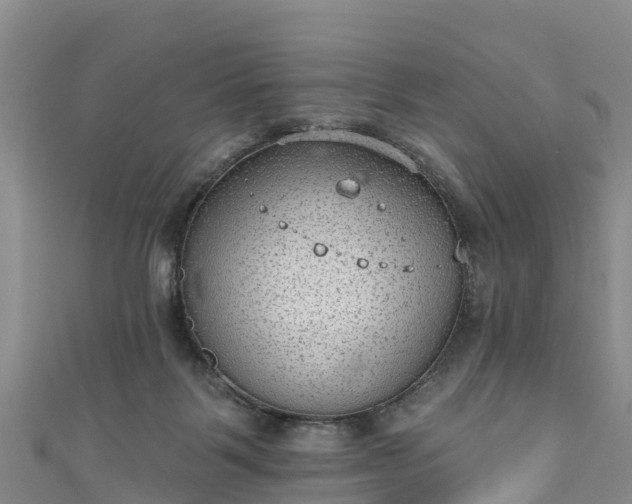 X0000110960123200906261349