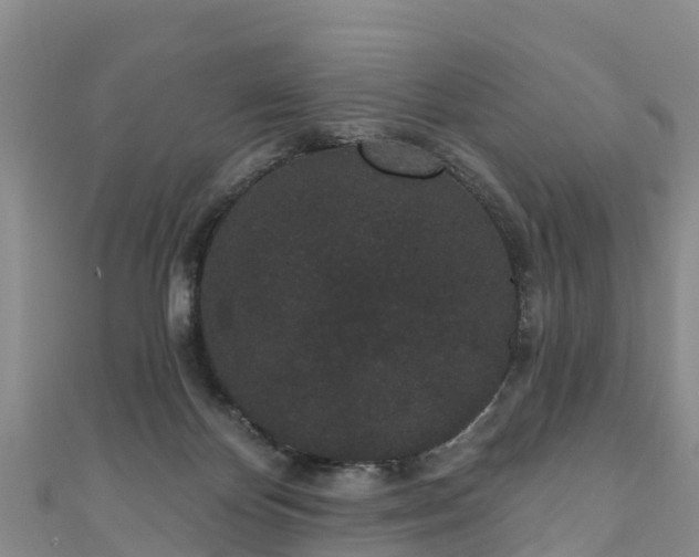 X0000110960124200906261349