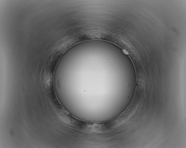 X0000110960125200906261349