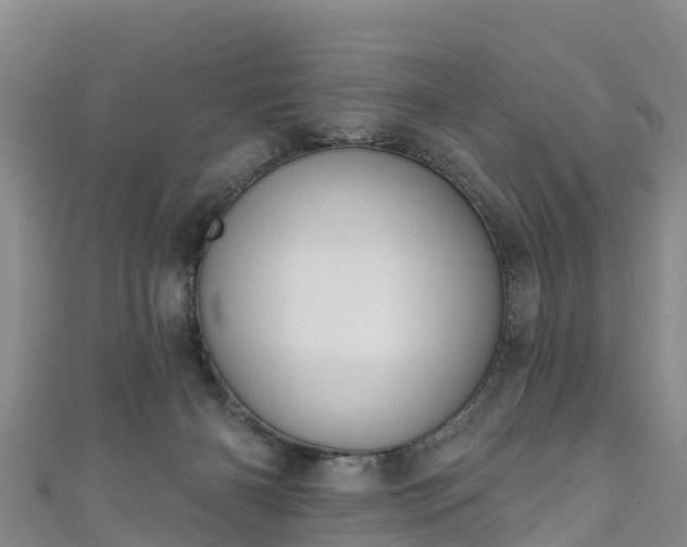 X0000110960126200906261349