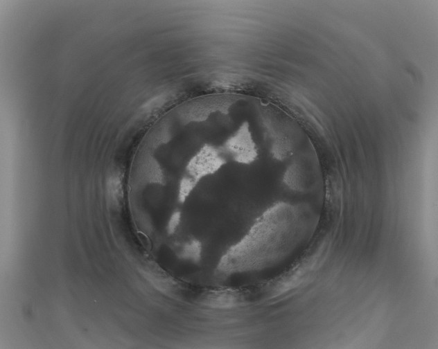 X0000110960127200906261349