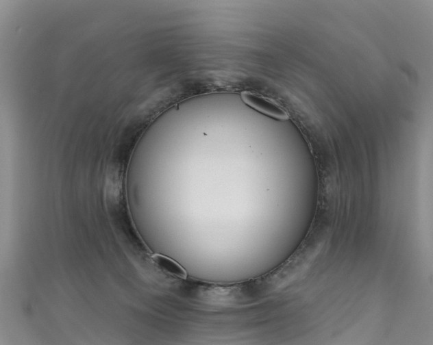 X0000110960129200906261349