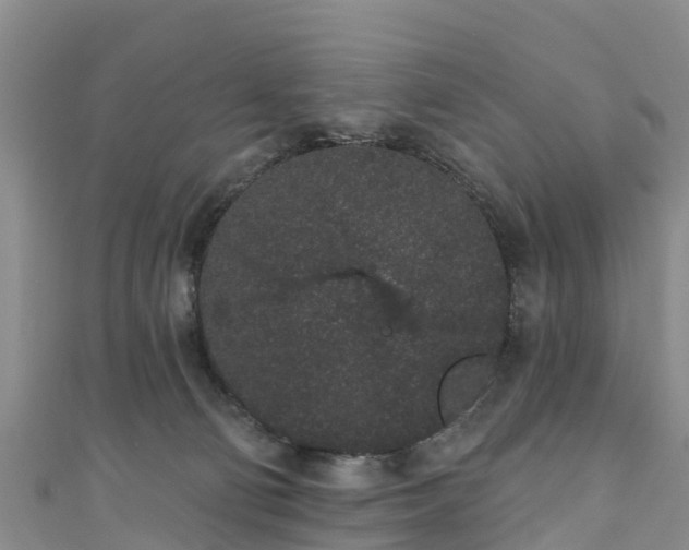 X0000110960130200906261349