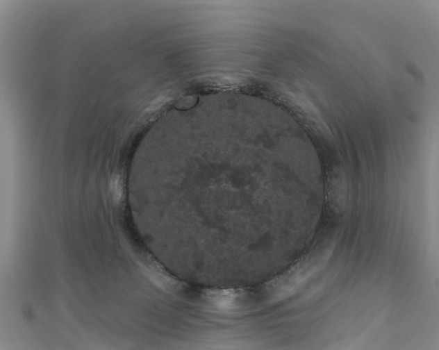 X0000110960131200906261349