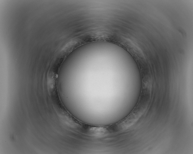 X0000110960133200906261349