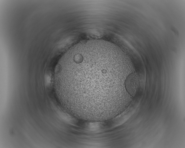 X0000110960134200906261349