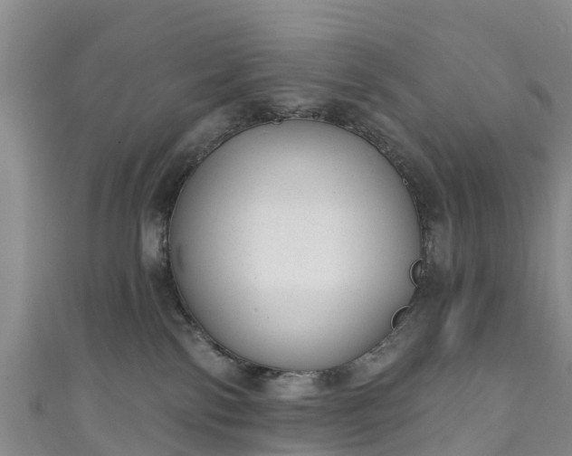 X0000110960138200906261349