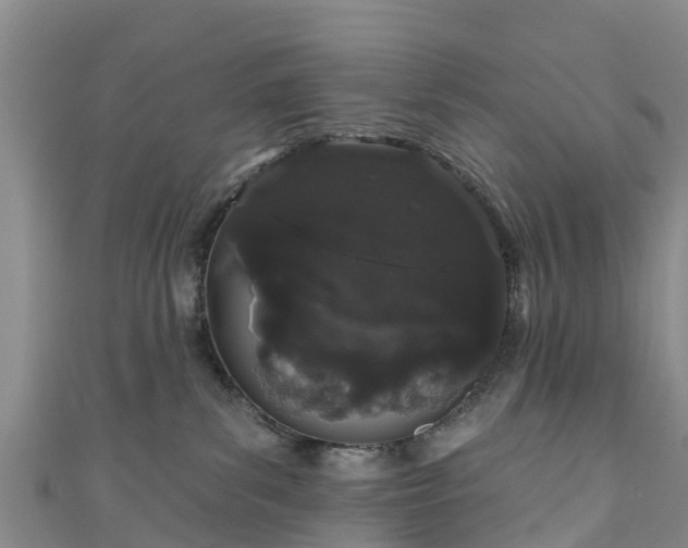 X0000110960139200906261349