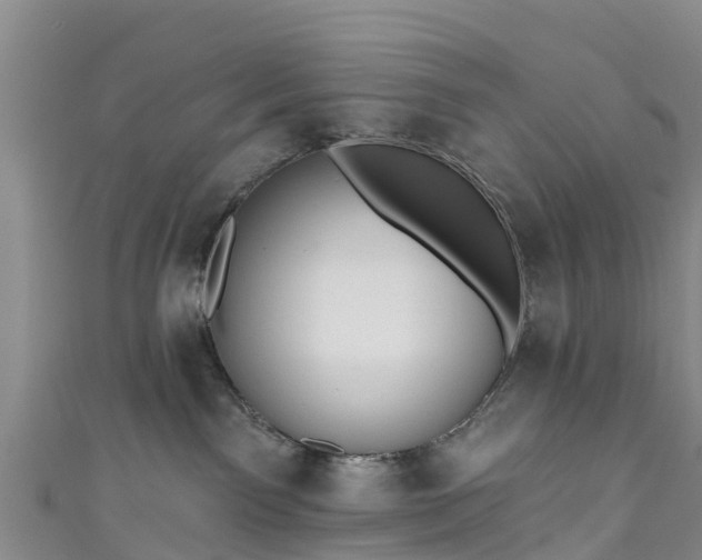 X0000110960141200906261349