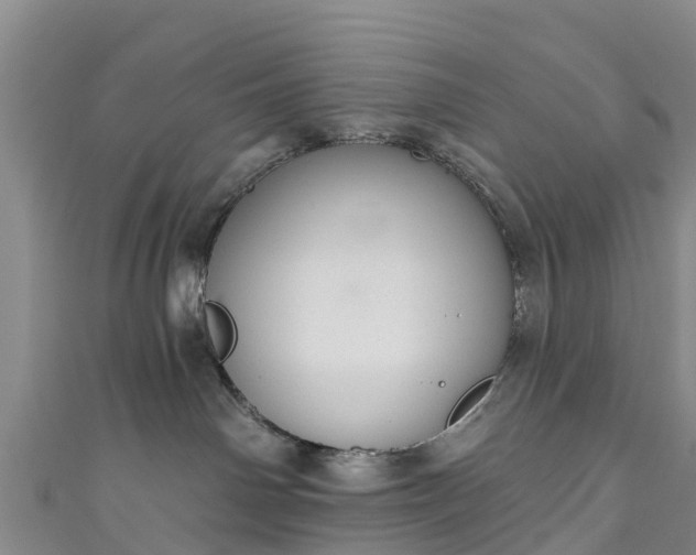 X0000110960142200906261349