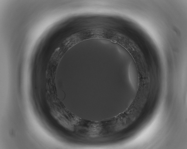 X0000110960143200906261349