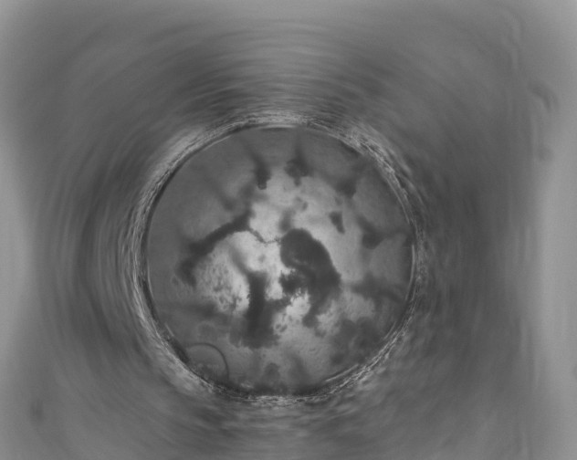 X0000110960145200906261349