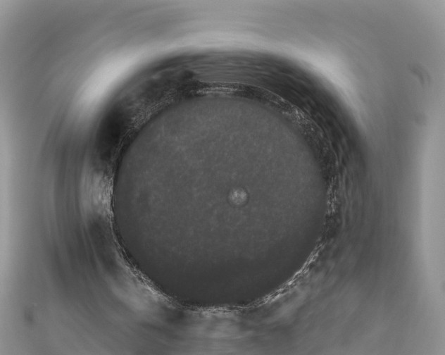 X0000110960146200906261349