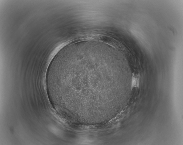 X0000110960147200906261349