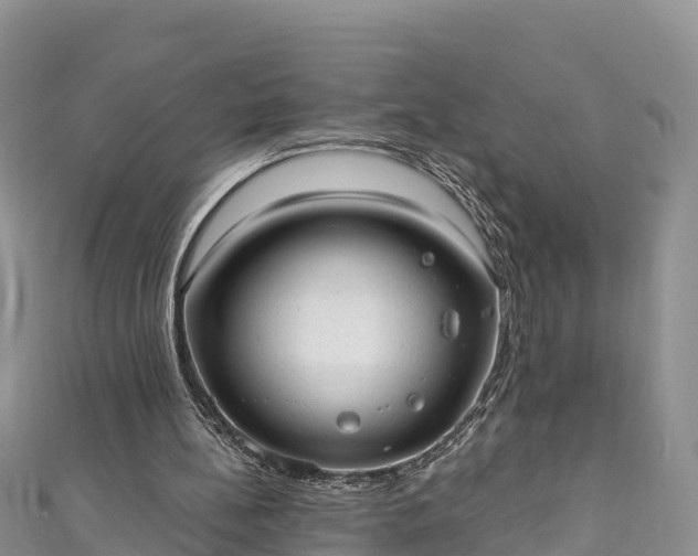 X0000110960148200906261349