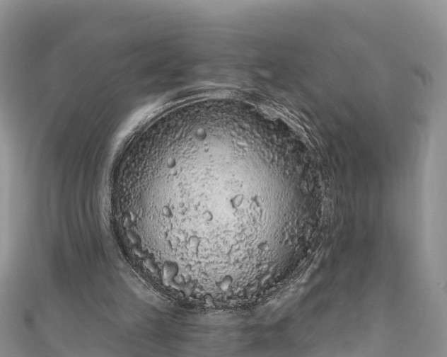 X0000110960149200906261349