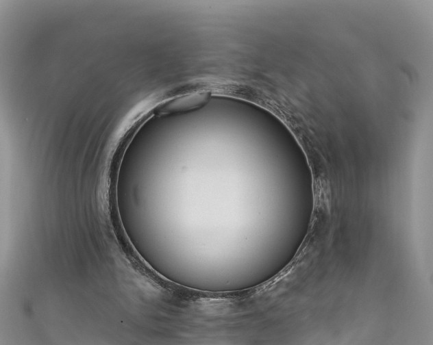 X0000110960150200906261349