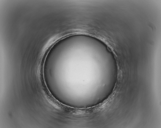 X0000110960151200906261349