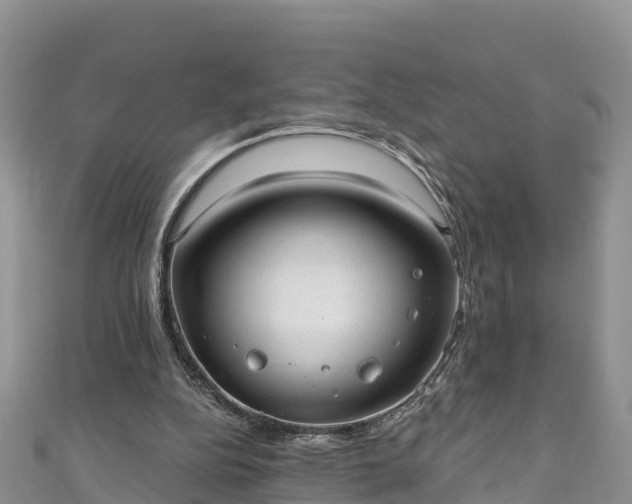 X0000110960152200906261349