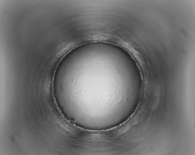 X0000110960153200906261349