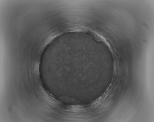 X0000110960154200906261349