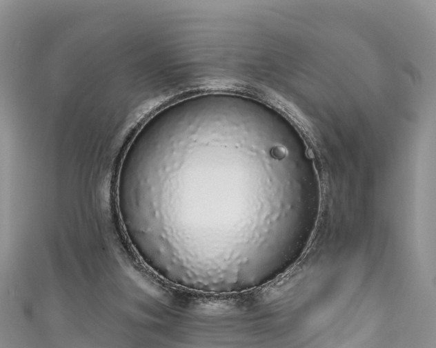 X0000110960155200906261349