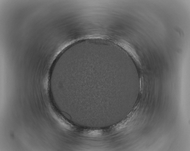 X0000110960156200906261349