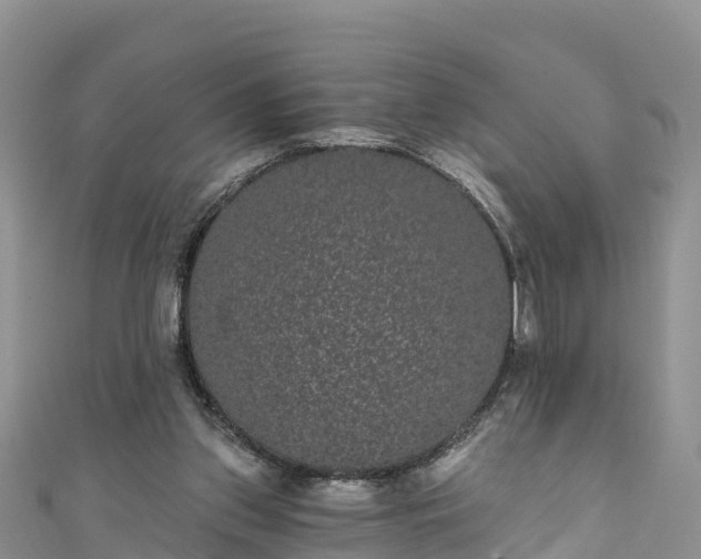 X0000110960157200906261349