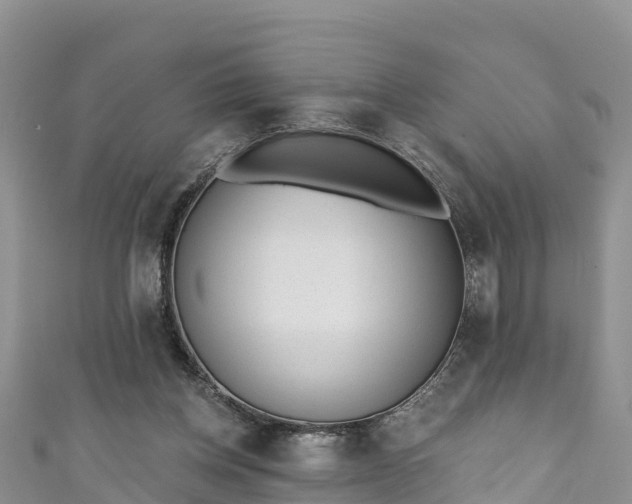 X0000110960158200906261349