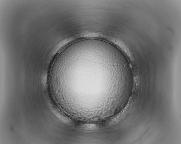 X0000110960159200906261349