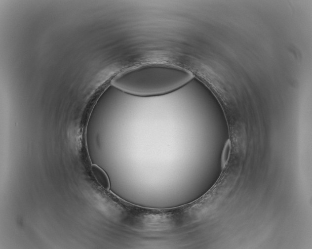 X0000110960160200906261349