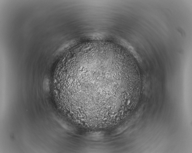 X0000110960161200906261349