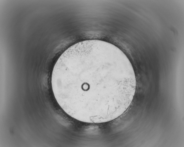 X0000110960162200906261349