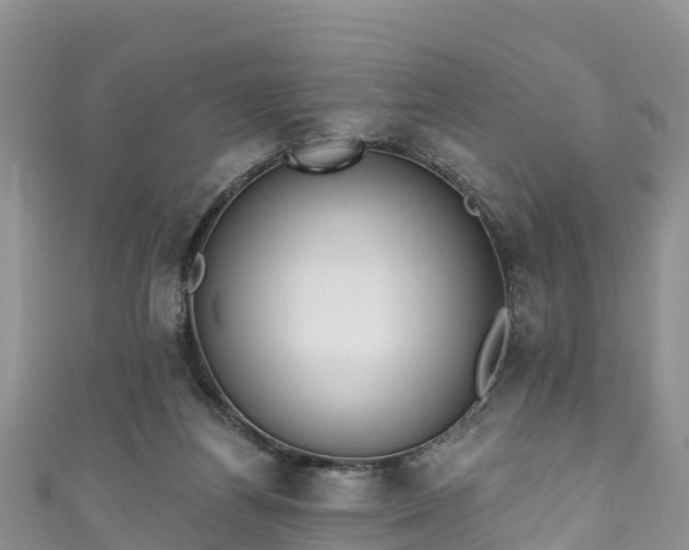 X0000110960164200906261349