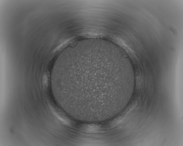 X0000110960165200906261349