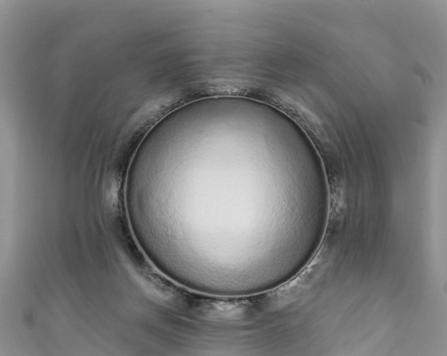 X0000110960166200906261349