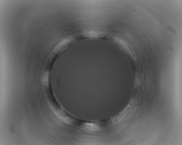 X0000110960167200906261349